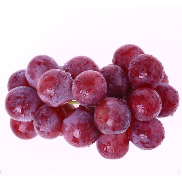 50 Mixed Grape Seeds Vitis Vinifera Fruit Seed S019 | eBay